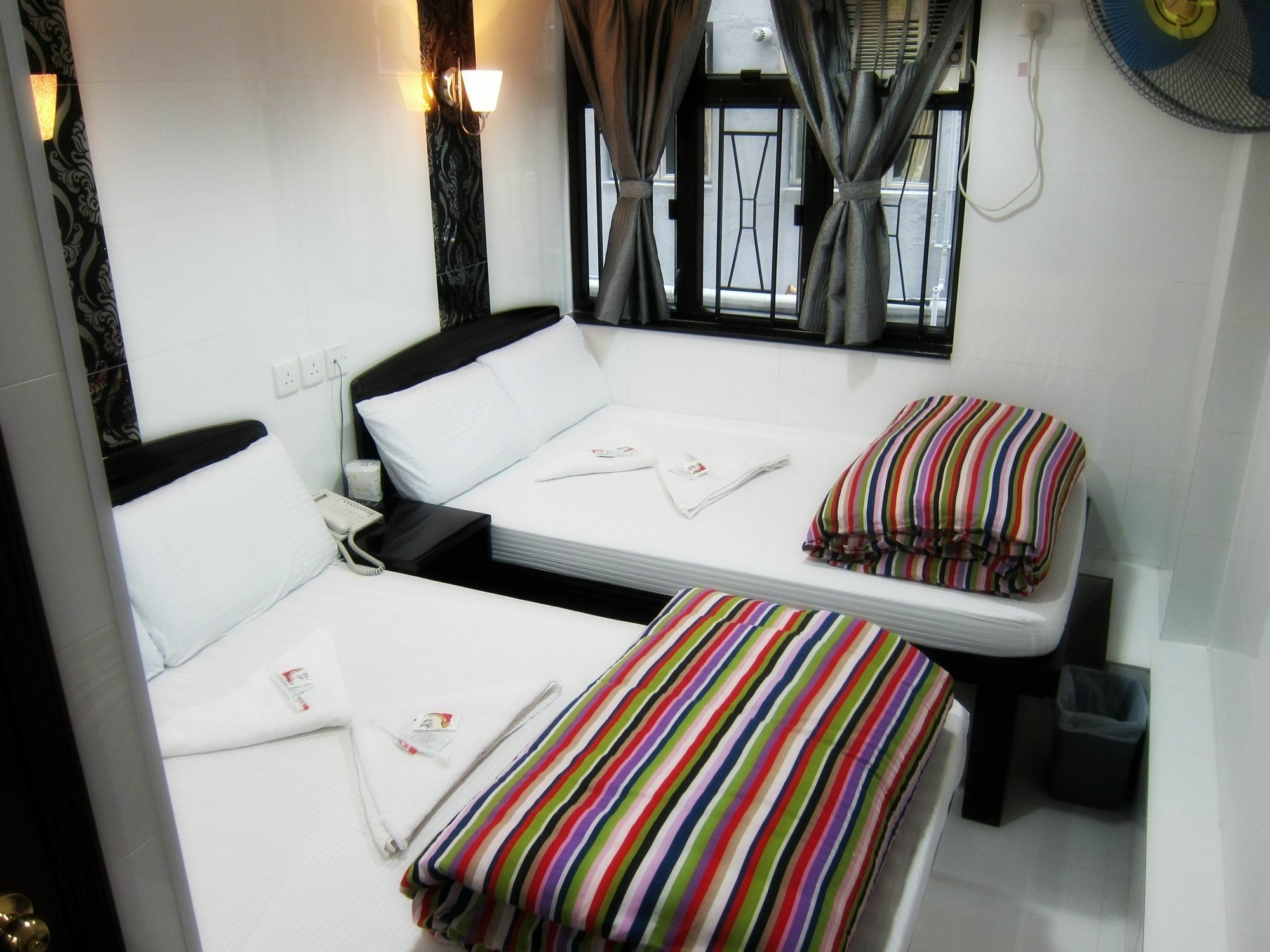 David Lounge Auberge de jeunesse