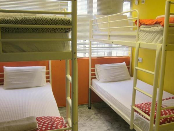 Albergue David Lounge *