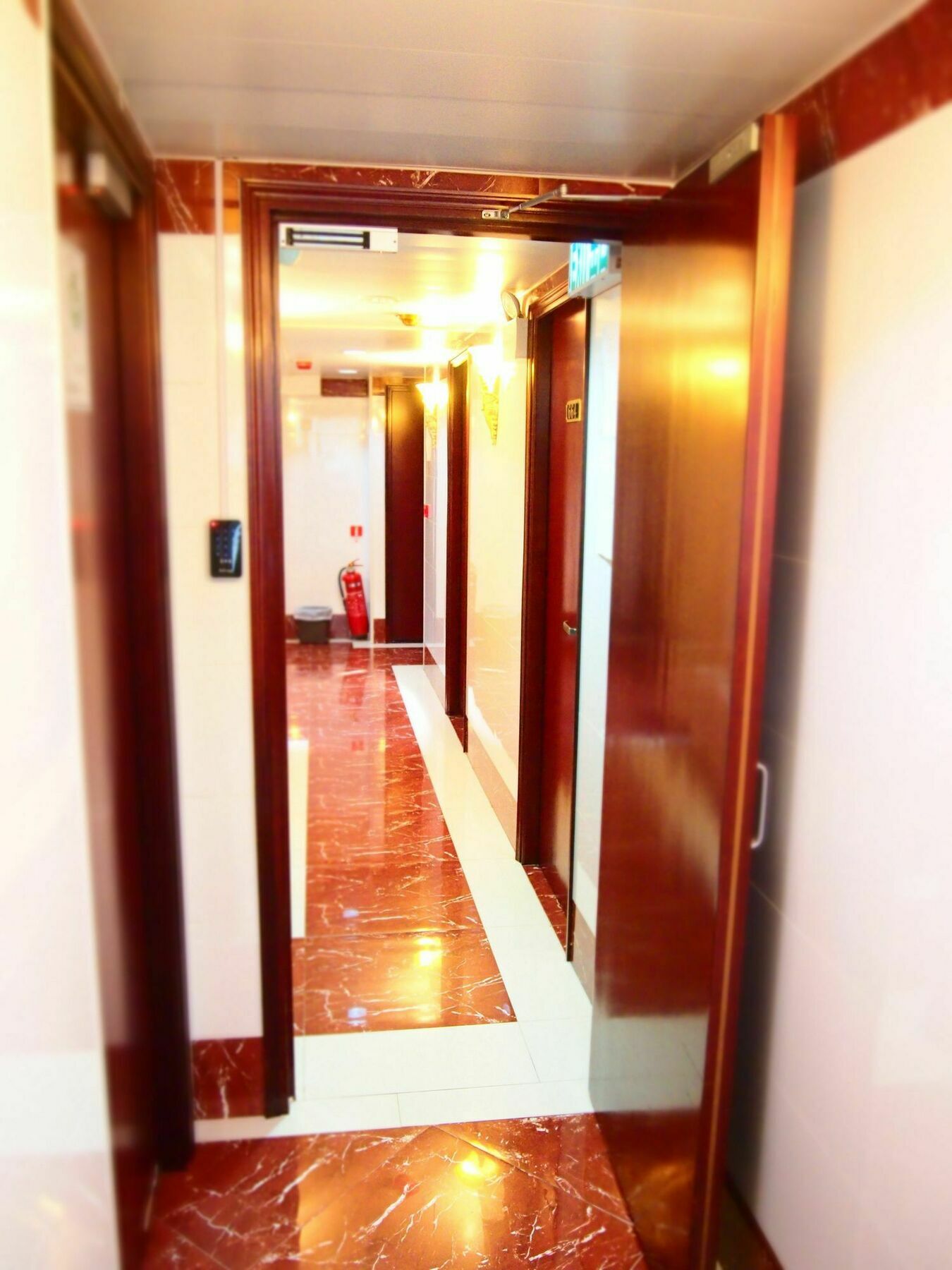 David Lounge Albergue